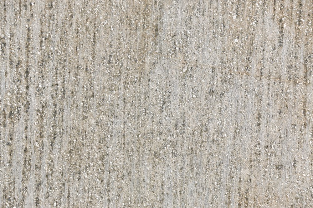 Birch+Boulder-1